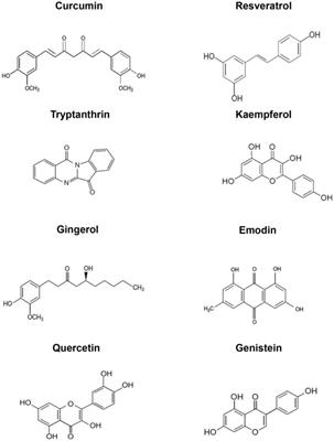 Cancer Chemoprevention: A Strategic Approach Using Phytochemicals